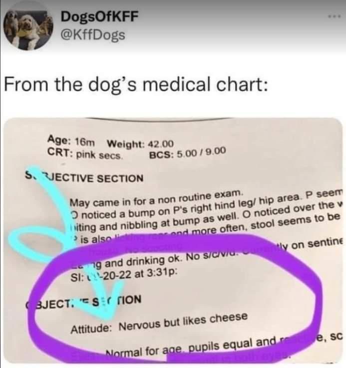 KffDogs From the dogs medical chart _ Age 16m Waight 4200 CRT pnk socs 8C8 5001990 S UECTIVE SECTION May came in for a non OUlNe B0 o pip 3 noticed a bump on Ps fight ting and nibbling at bumP 7
