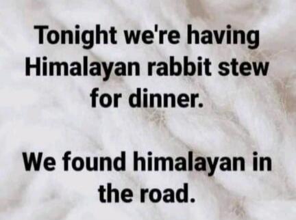 Tonight we're having Himalayan rabbit stew for dinner. We found himalayan in the road.