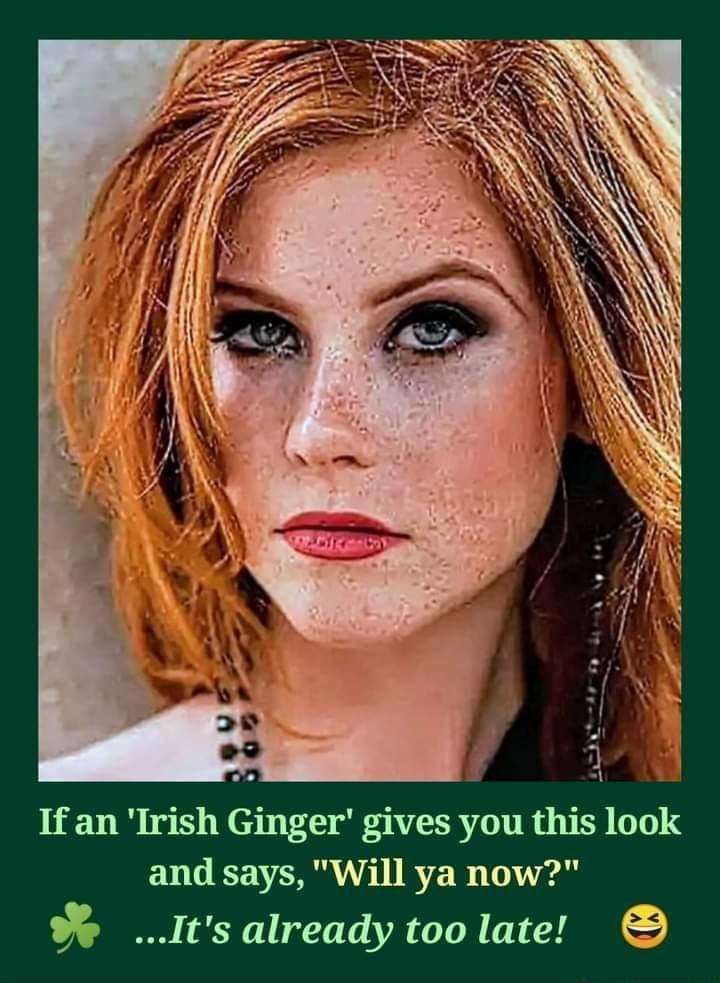 If an Irish Ginger gives you this look EVGERVERR TGRS T e Its already too late