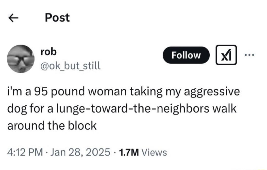 e X ok_but still im a 95 pound woman taking my aggressive dog for a lunge toward the neighbors walk around the block 412PM Jan 28 2025 17M Views