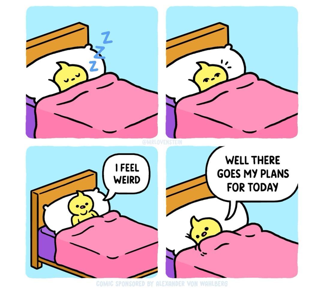 WELL THERE GOES MY PLANS FOR TODAY