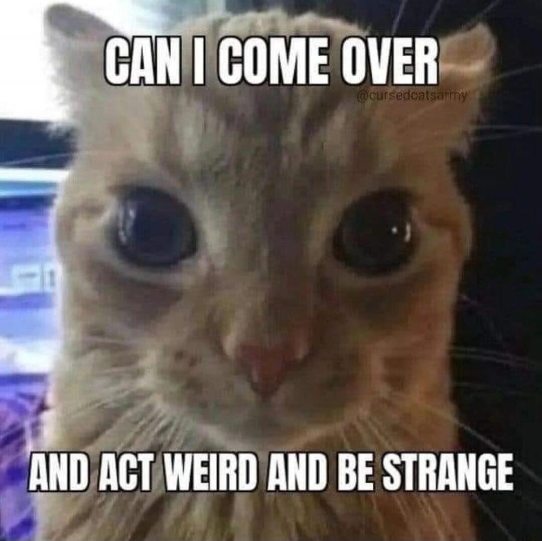 CAN I COME OVER AND ACT WEIRD AND BE STRANGE