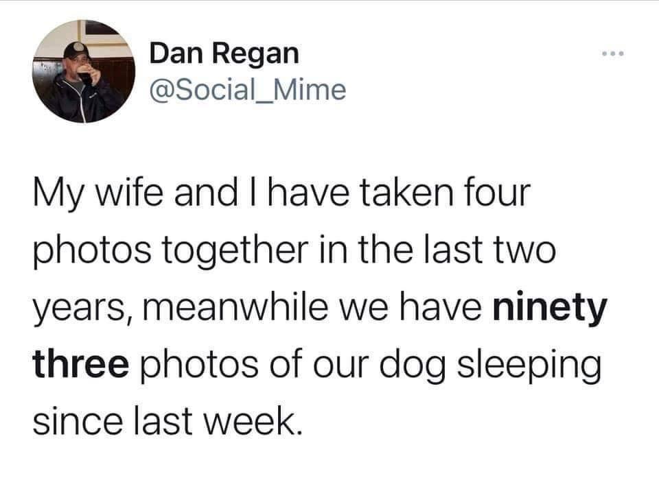 Dan Regan Social_Mime My wife and have taken four photos together in the last two years meanwhile we have ninety three photos of our dog sleeping since last week