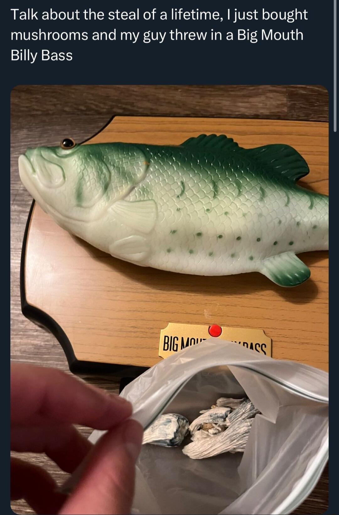 Talk about the steal of a lifetime just bought mushrooms and my guy threw in a Big Mouth IVAESS