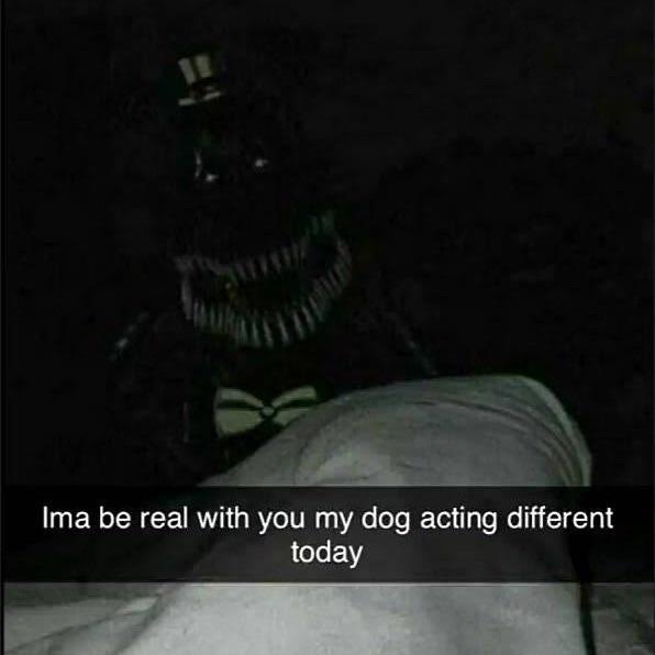 Lo S