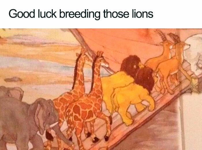 Good luck breeding those lions e i T