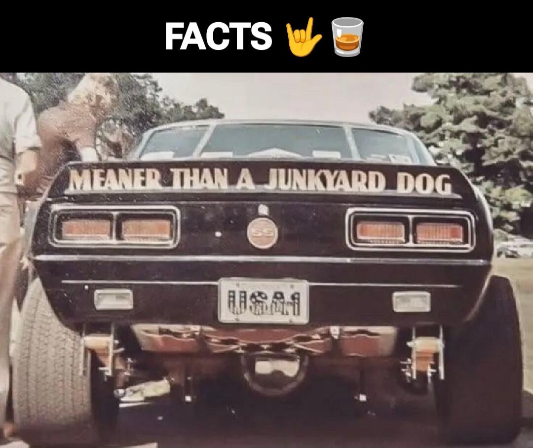 FACTS 🪨🍺
MEANER THAN A JUNKYARD DOG