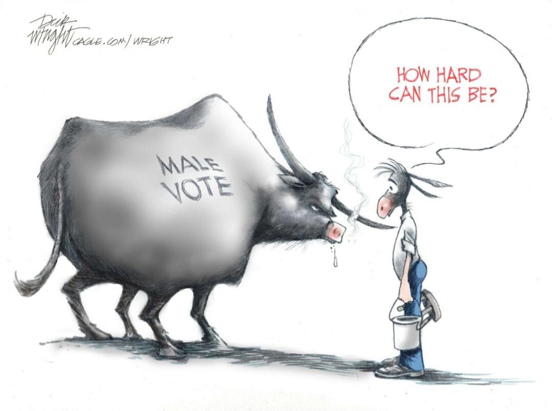 MALE VOTE. HOW HARD CAN THIS BE?