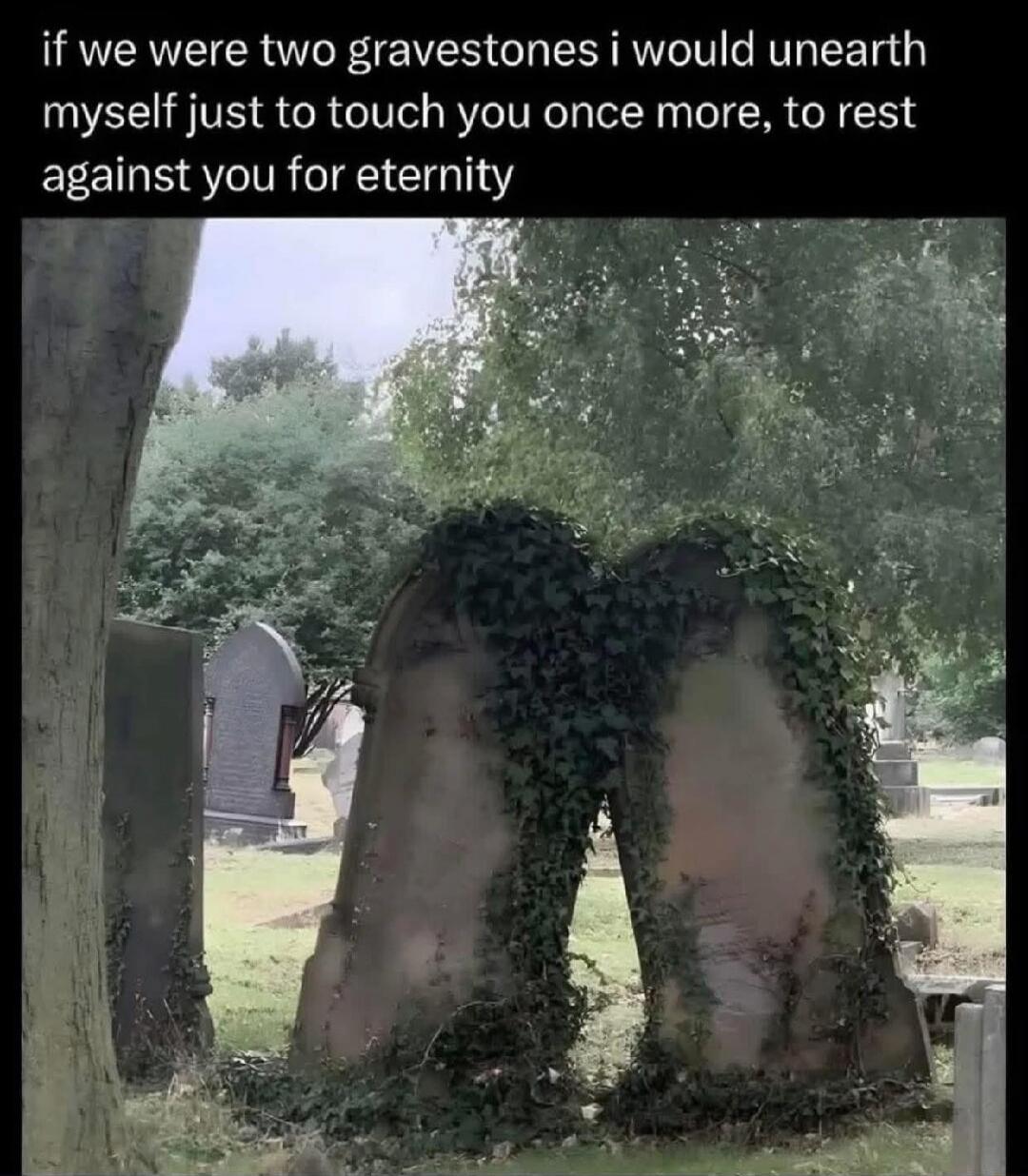 if we were two gravestones i would unearth myself just to touch you once more, to rest against you for eternity