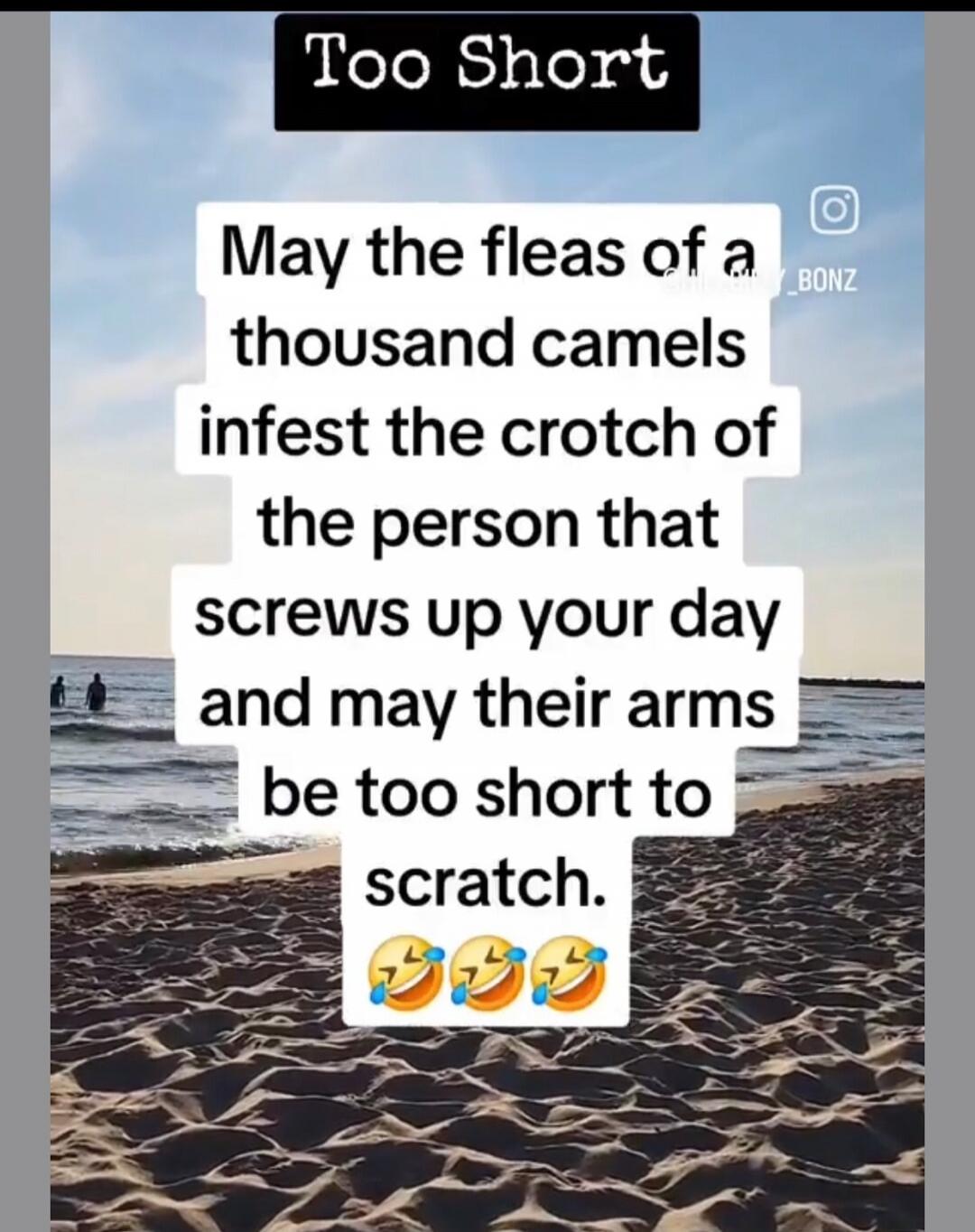 Too Short
May the fleas of a thousand camels infest the crotch of the person that screws up your day and may their arms be too short to scratch. 😂😂😂