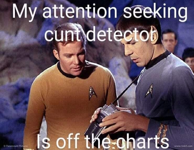 My attention seeking cunt detector Is off the charts