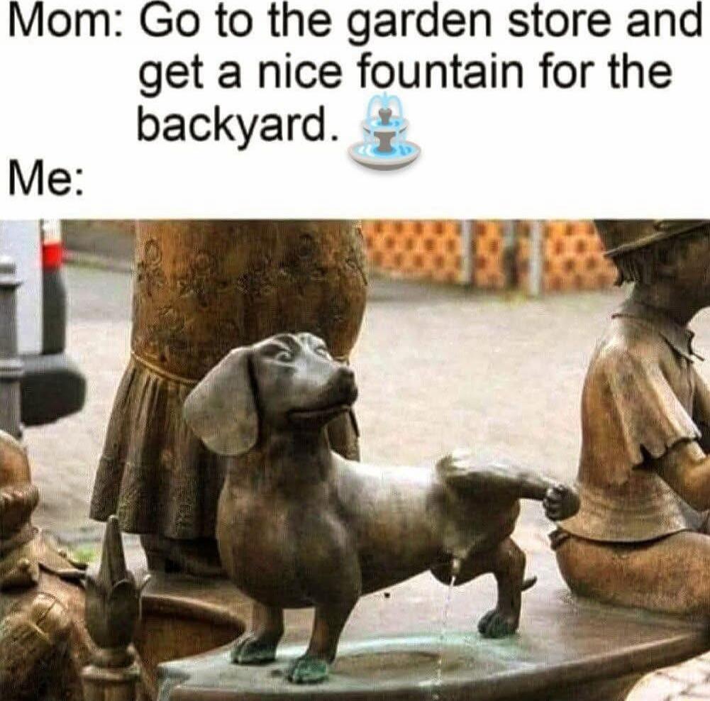 Mom: Go to the garden store and get a nice fountain for the backyard. Me:
