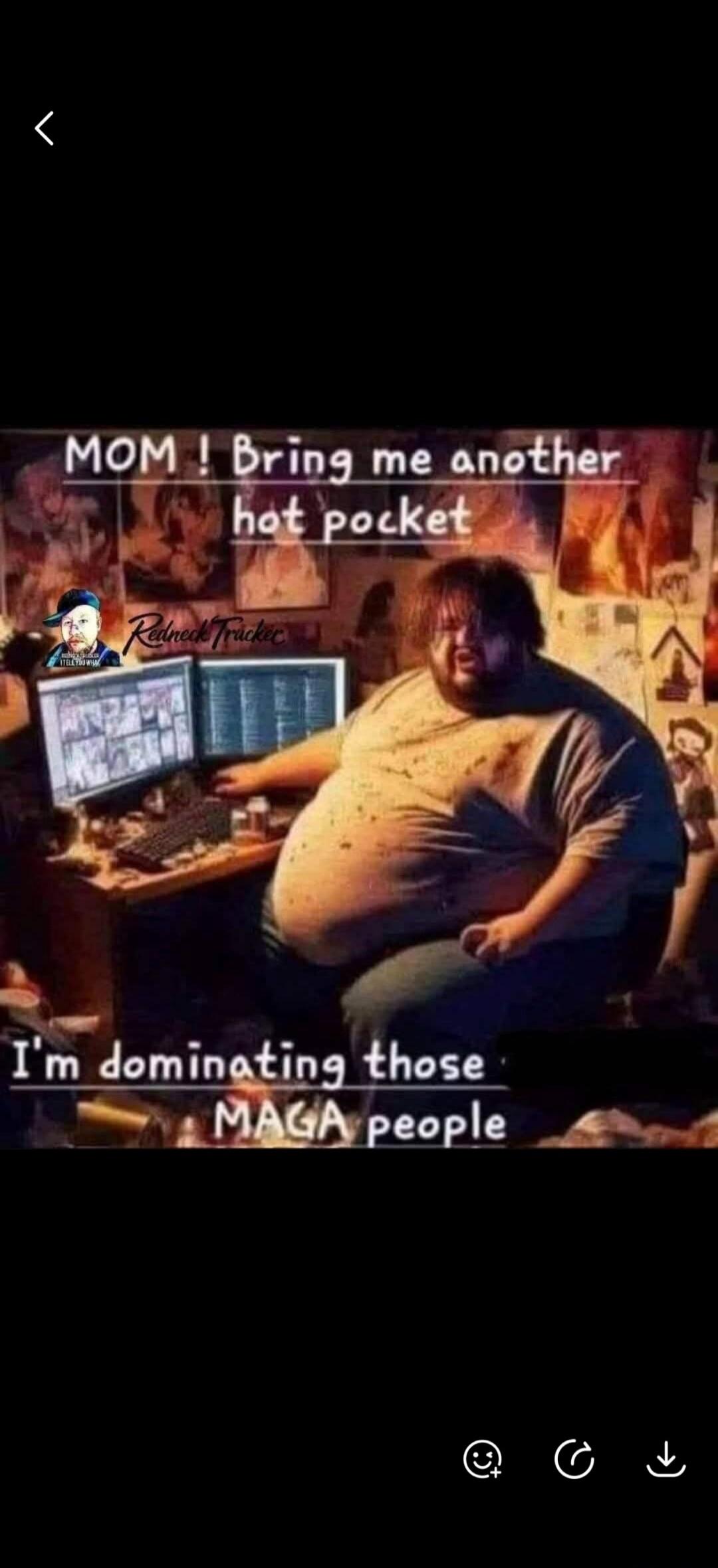 MOM! Bring me another hot pocket. I'm dominating those MAGA people. Redneck Tracker.