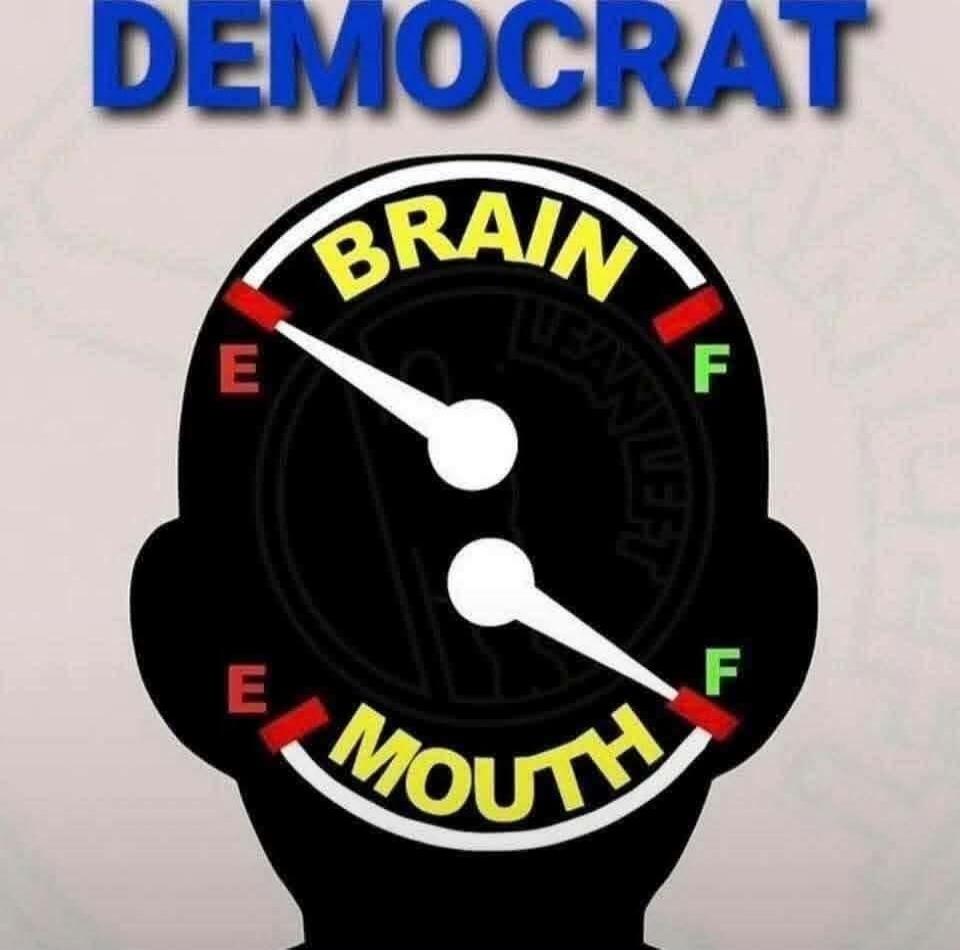 DEMOCRAT BRAIN E F LEFT MOUTH E F