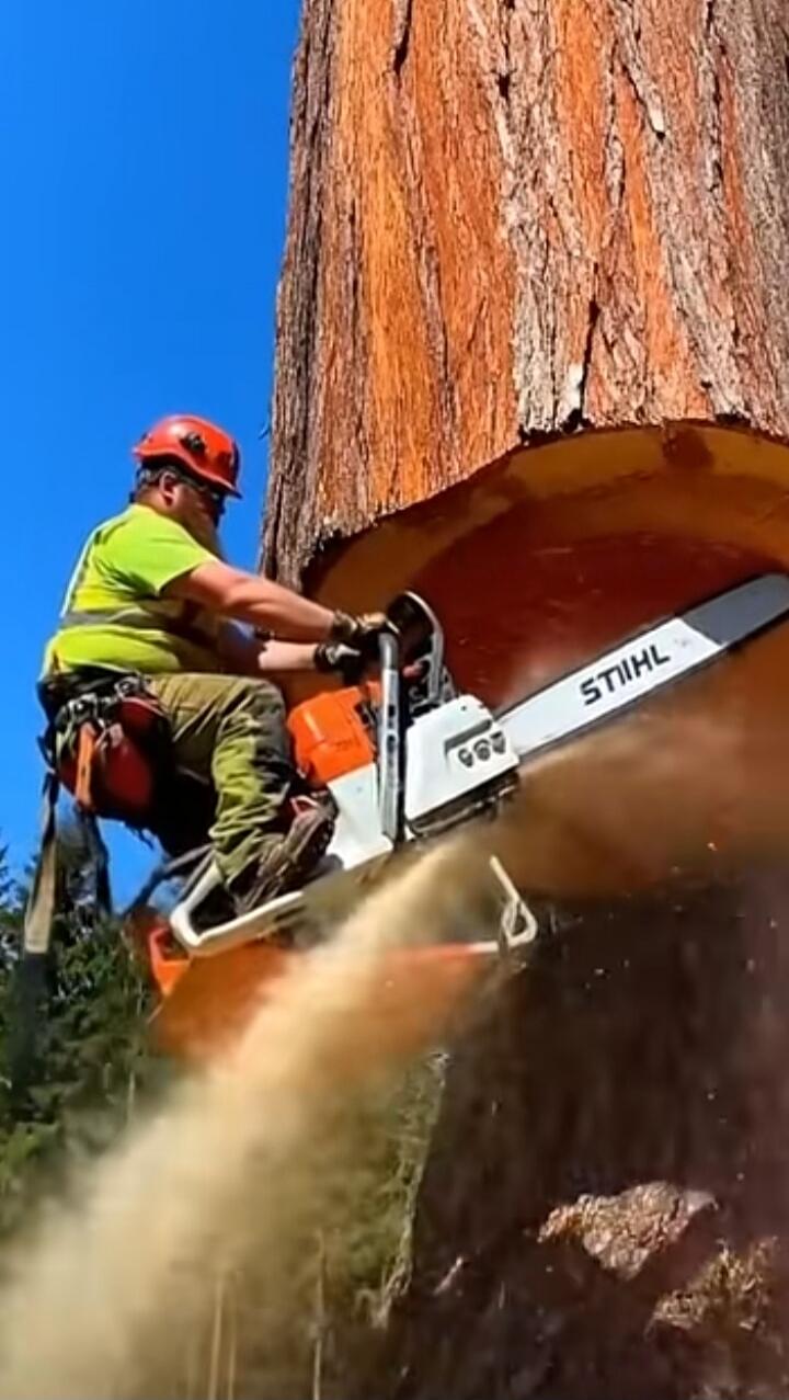 STIHL
