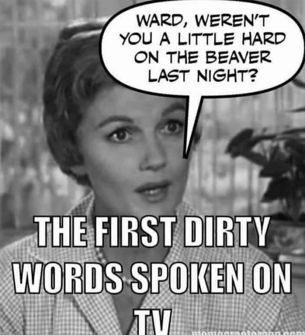WARD, WEREN'T YOU A LITTLE HARD ON THE BEAVER LAST NIGHT? THE FIRST DIRTY WORDS SPOKEN ON TV