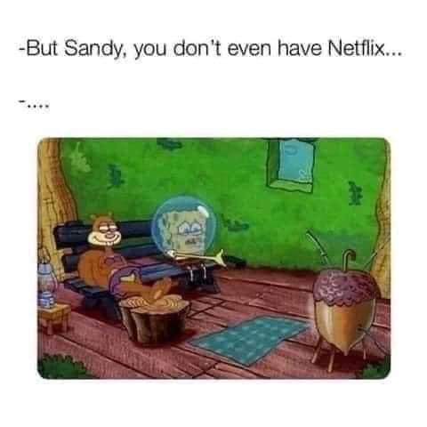 But Sandy you dont even have Netflix