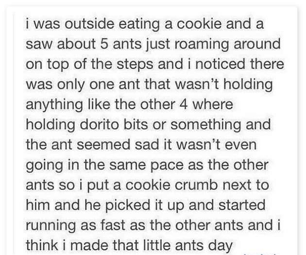 i was outside eating a cookie and a saw about 5 ants just roaming around on top of the steps and i noticed there was only one ant that wasnt holding anything like the other 4 where holding dorito bits or something and the ant seemed sad it wasnt even going in the same pace as the other ants so i put a cookie crumb next to him and he picked it up and started running as fast as the other ants and i 