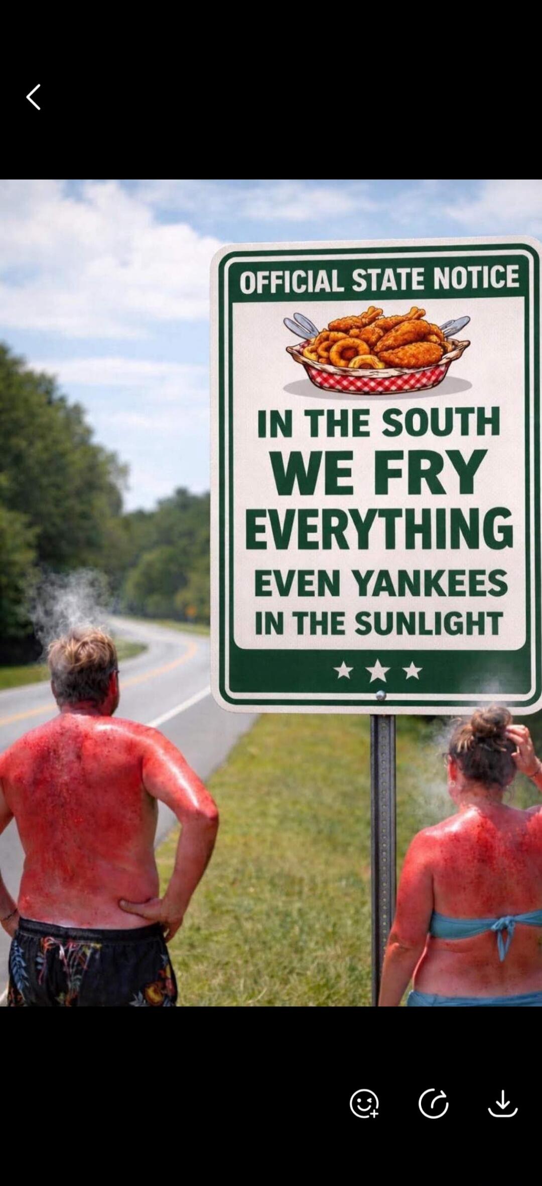 OFFICIAL STATE NOTICE IN THE SOUTH WE FRY EVERYTHING EVEN YANKEES IN THE SUNLIGHT