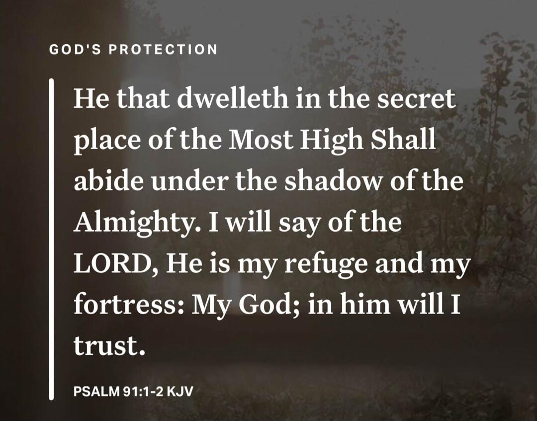 GOD'S PROTECTION He that dwelleth in the secret place of the Most High Shall abide under the shadow of the Almighty. I will say of the LORD, He is my refuge and my fortress: My God; in him will I trust. PSALM 91:1-2 KJV