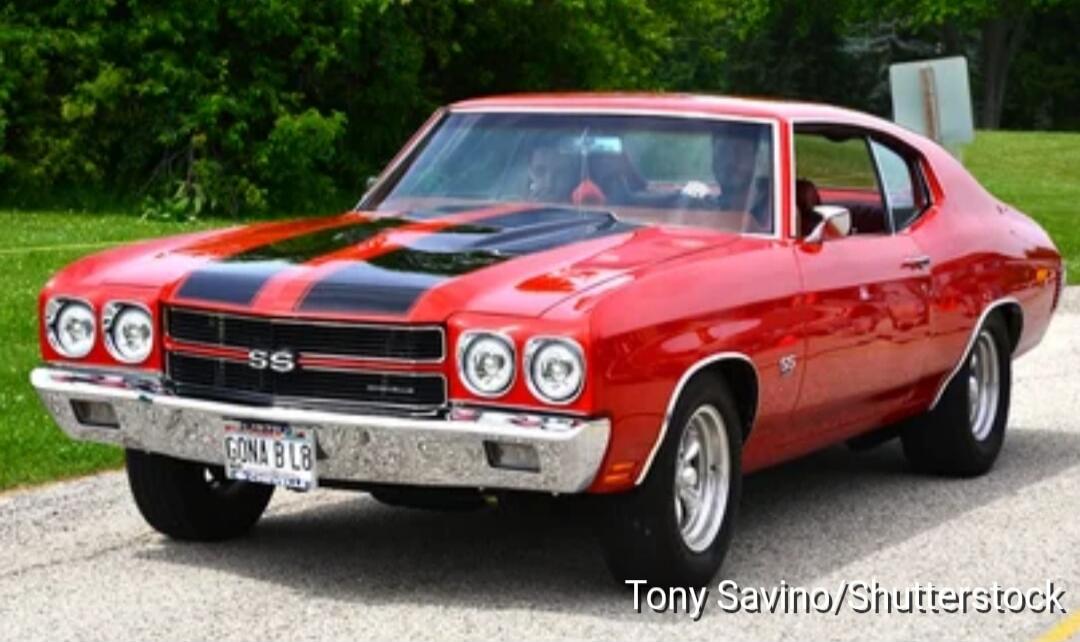 Tony Savino/Shutterstock
GONA BGE