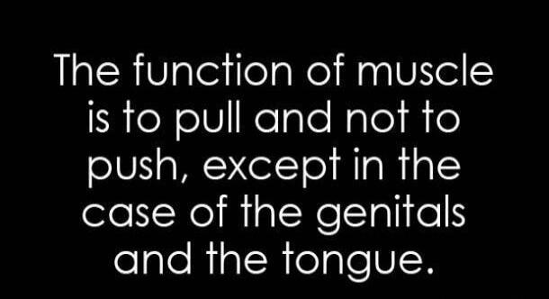The function of muscle is to pull and not to push, except in the case of the genitals and the tongue.