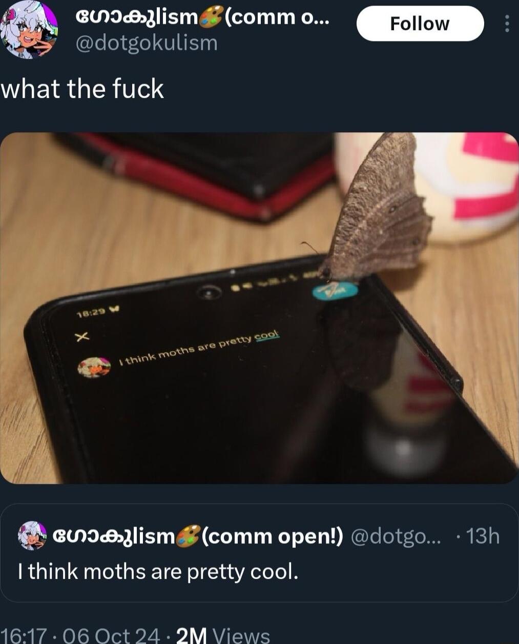 UIBlism comm o Follow 5 e WHEIRGIERTCS a UIBYlism comm open dotgo 13h I think moths are pretty cool 1617 06 Oct 24 2M Views