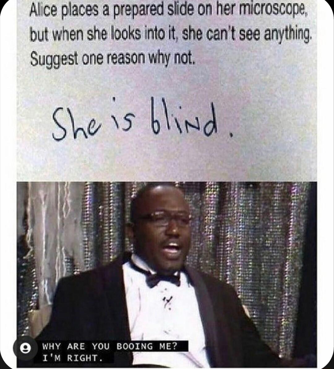 Alice places a prepared slide on her microscope Y but when she looks into it she cant see anything Suggest one reason why not Qe s blind ARE YOU BOOING ME IM RIGHT