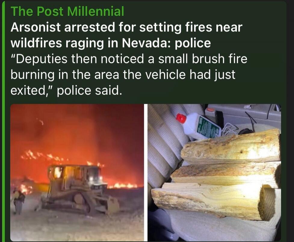 The Post Millennial. Arsonist arrested for setting fires near wildfires raging in Nevada: police. 