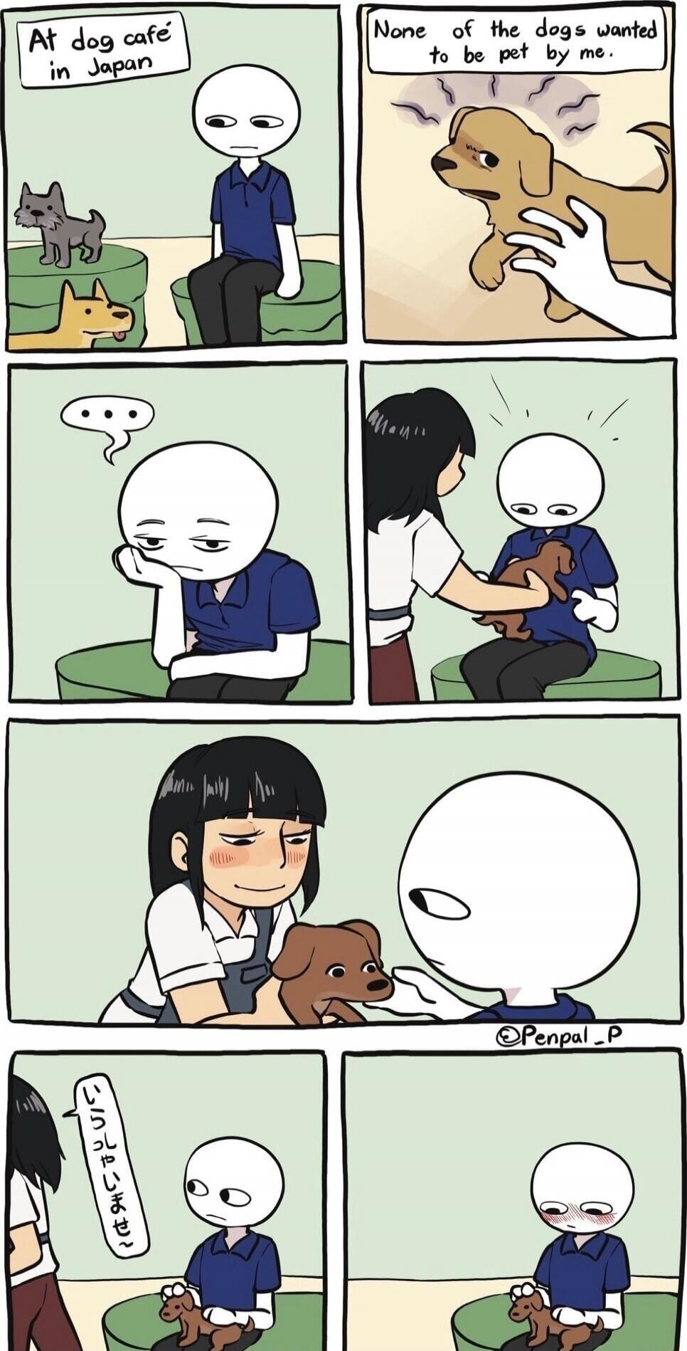 At dog café in Japan. None of the dogs wanted to be pet by me. Irasshaimase~