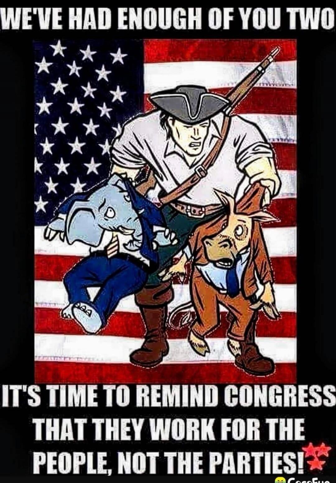 WE'VE HAD ENOUGH OF YOU TWO IT'S TIME TO REMIND CONGRESS THAT THEY WORK FOR THE PEOPLE, NOT THE PARTIES!