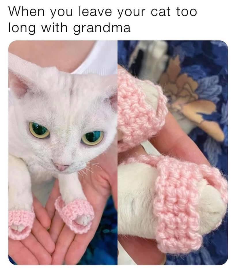 When you leave your cat too long with grandma