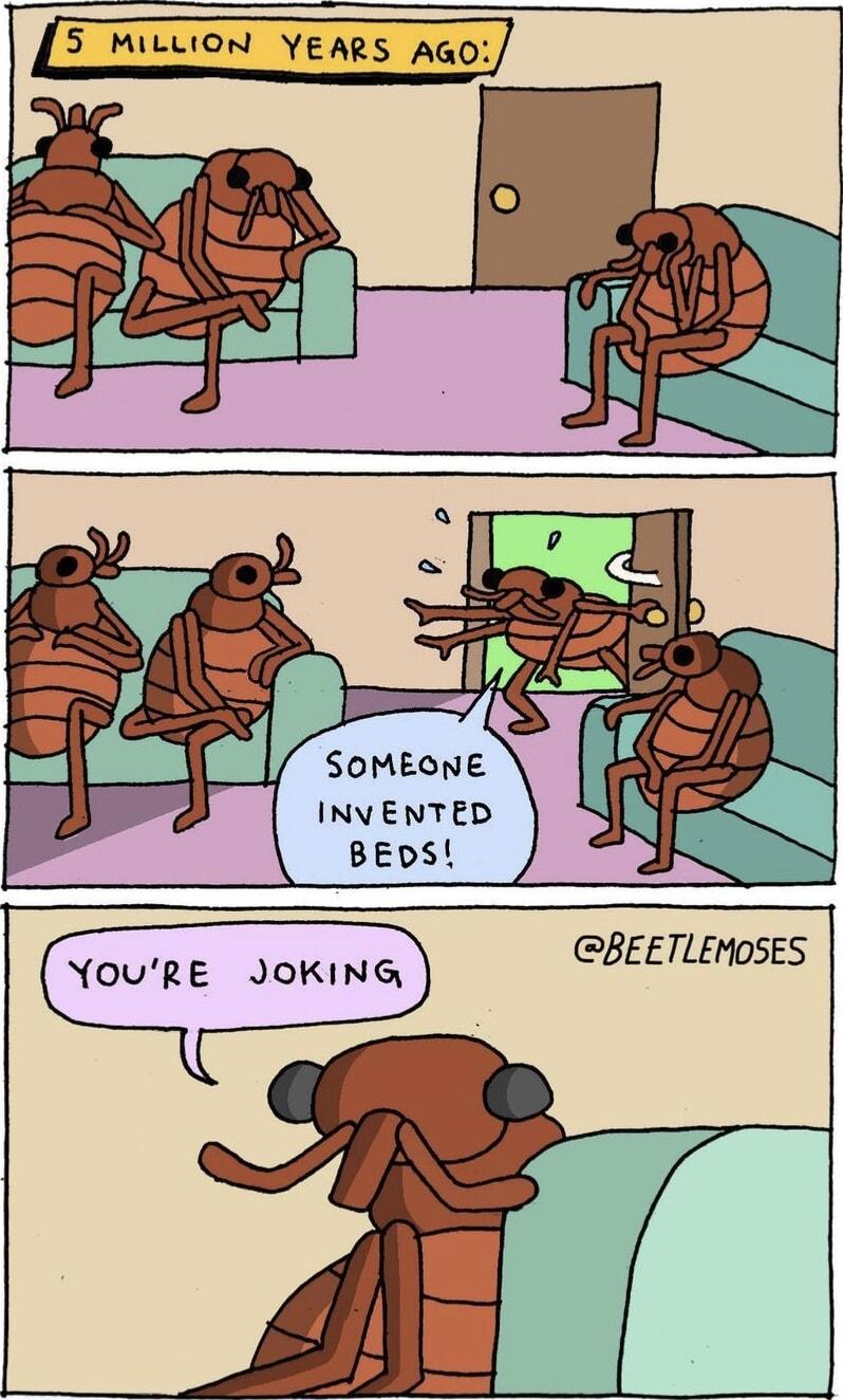 5 MILLION YEARS AGO SOMEONE INVENTED w BEETLEMOSES