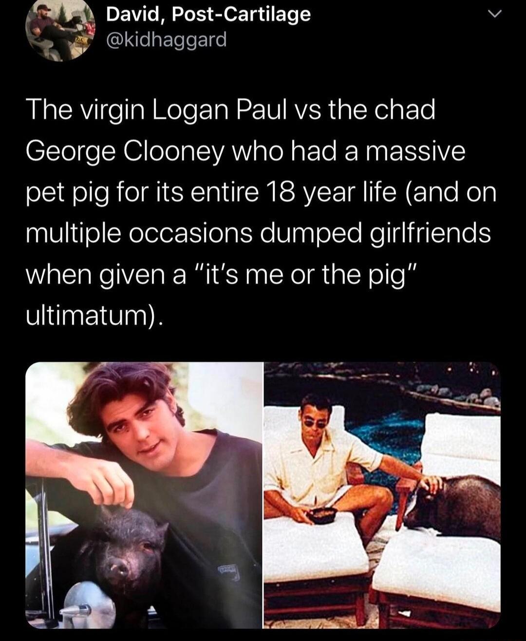 David Post Cartilage v kidhaggard The virgin Logan Paul vs the chad George Clooney who had a massive pet pig for its entire 18 year life and on multiple occasions dumped girlfriends when given a its me or the pig ultimatum