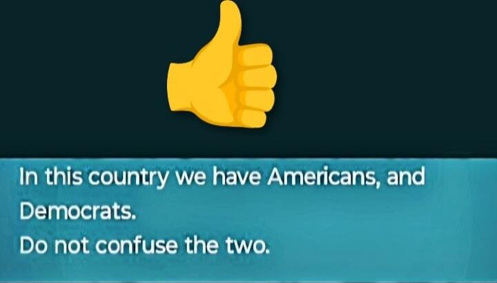 In this country we have Americans, and Democrats. Do not confuse the two.