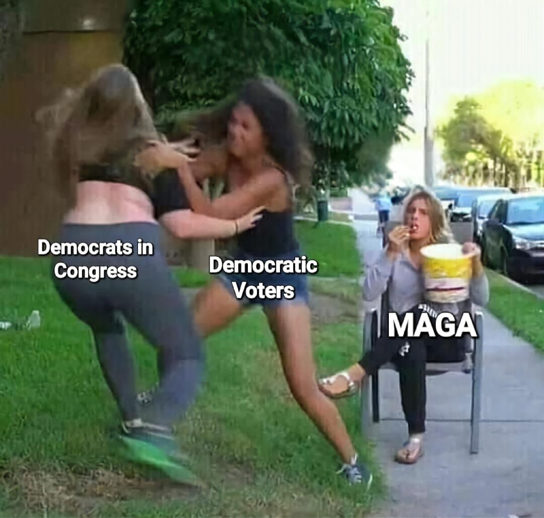 Democrats in Congress
Democratic Voters
MAGA