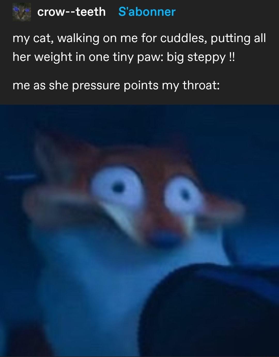 crow teeth Sabonner er my cat walking on me for cuddles putting all ITWVCTTo o Ta Wol aT R il g WA o il o e BSi T o AL me as she pressure points my throat