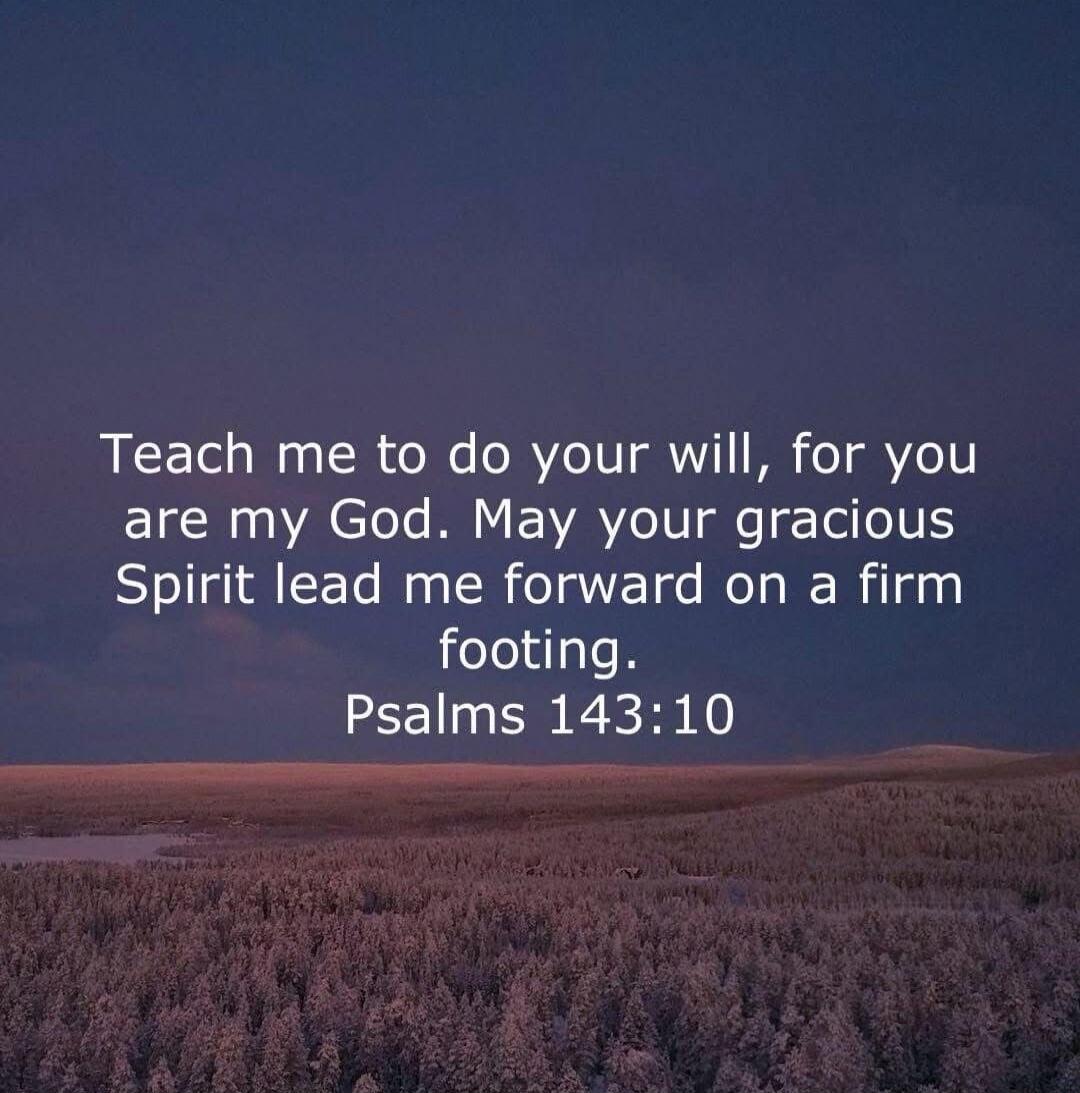 Teach me to do your will, for you are my God. May your gracious Spirit lead me forward on a firm footing. Psalms 143:10
Session ID: 1017690.