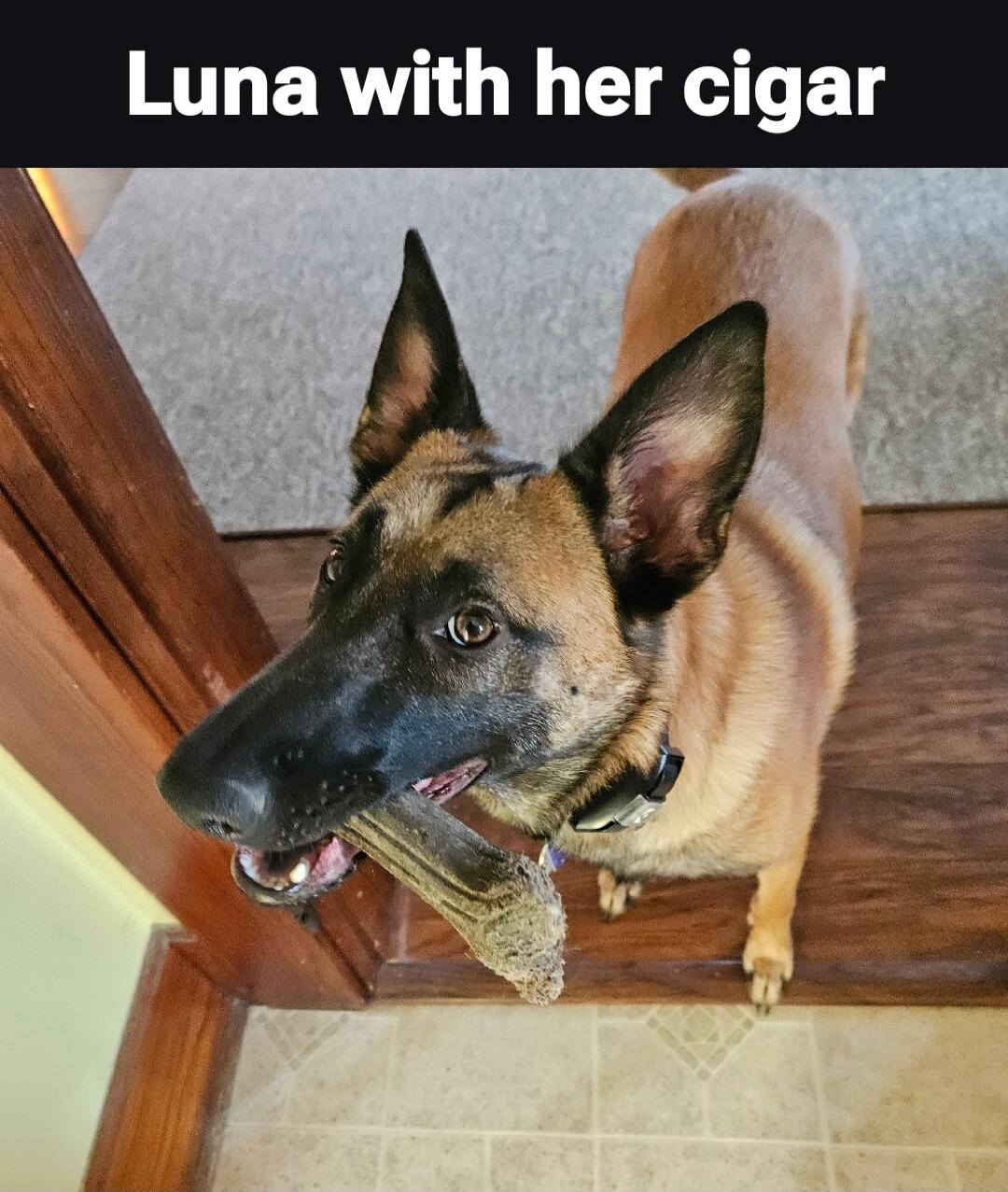 Luna with her cigar