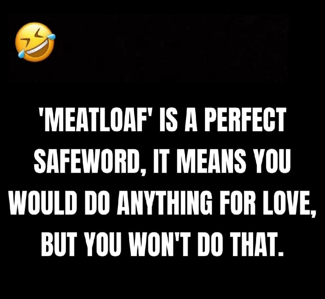 'MEATLOAF' IS A PERFECT SAFEWORD, IT MEANS YOU WOULD DO ANYTHING FOR LOVE, BUT YOU WON'T DO THAT.