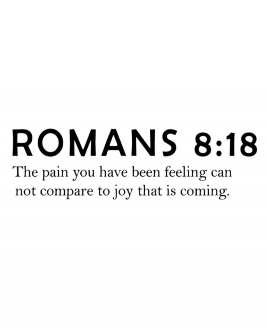 ROMANS 8:18 The pain you have been feeling can not compare to joy that is coming.