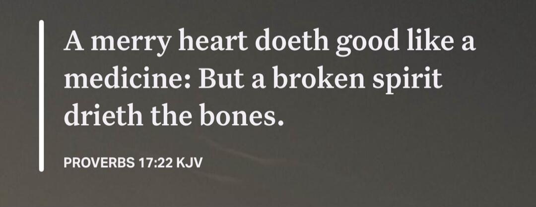 A merry heart doeth good like a medicine: But a broken spirit drieth the bones. PROVERBS 17:22 KJV