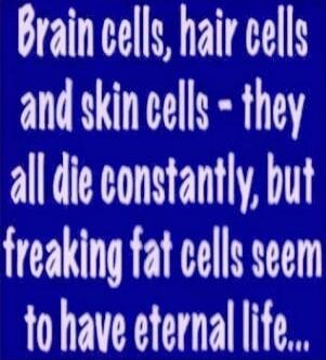 Brain cells, hair cells and skin cells - they all die constantly, but freaking fat cells seem to have eternal life...