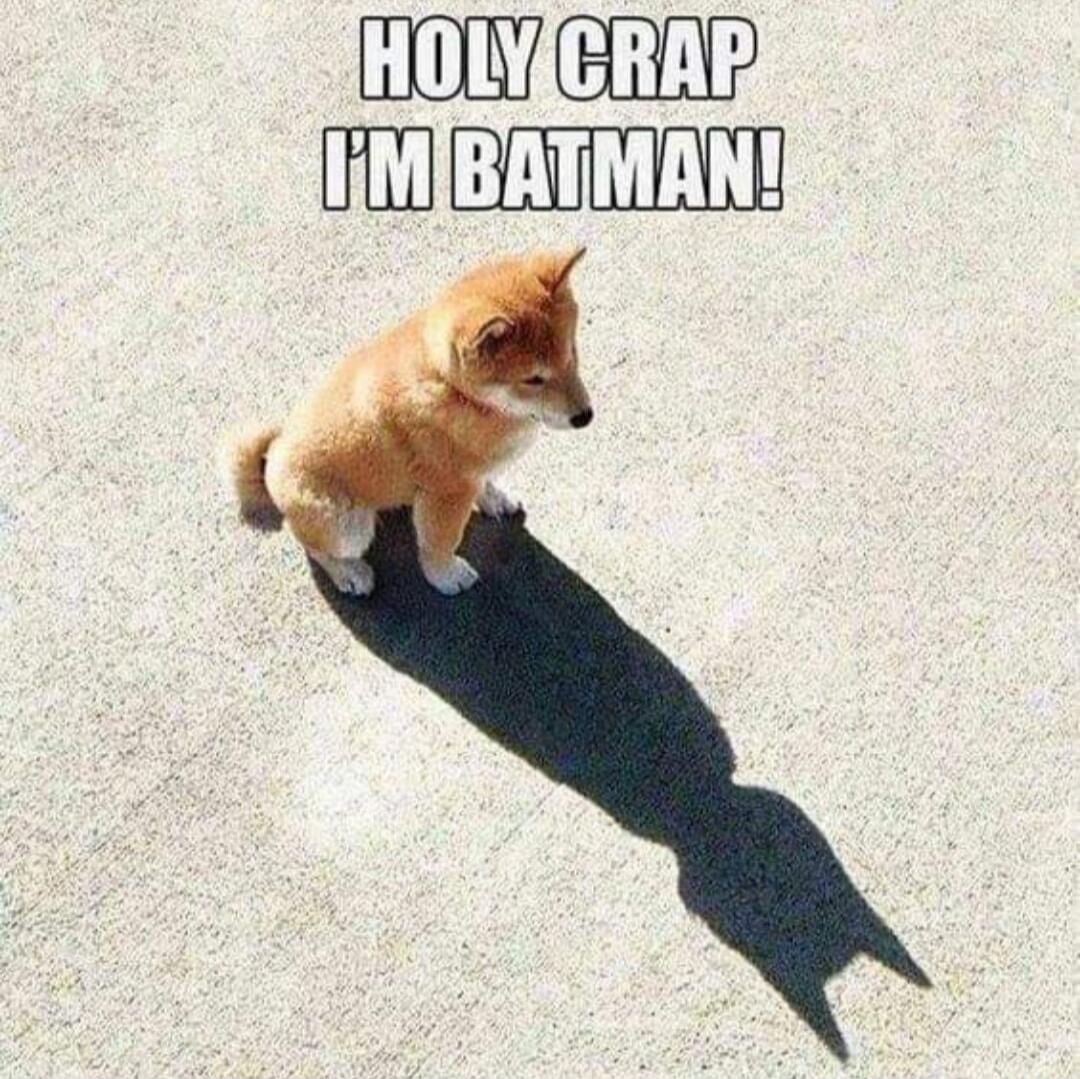 HOLY CRAP I'M BATMAN!