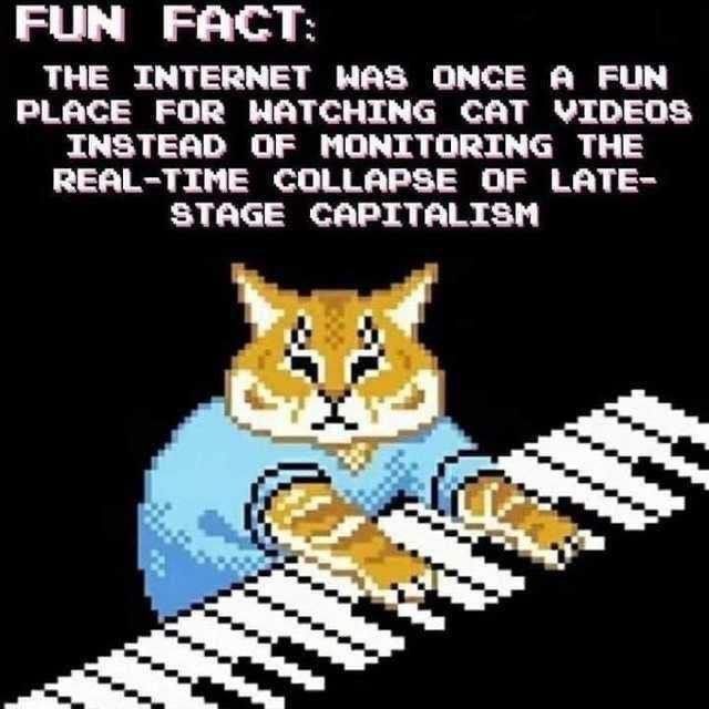 FUN FACT THE INTERNET WAS ONCE A FUN PLACE FOR WATCHING CAT VIDEOS INSTEAD OF MONITORING THE REAL TIME COLLAPSE OF LATE STAGE CAPITALISM