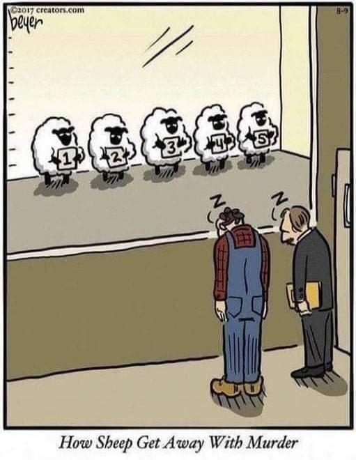 How Sheep Get Away With Murder. 1 2 3 4 5. Zz Zz. ©2017 creators.com. beyer. 8-9.
