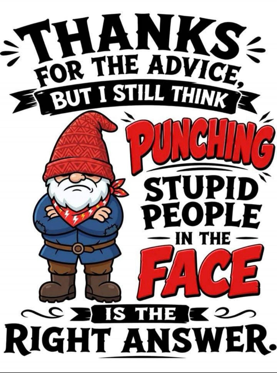 THANKS FOR THE ADVICE, BUT I STILL THINK PUNCHING STUPID PEOPLE IN THE FACE IS THE RIGHT ANSWER.