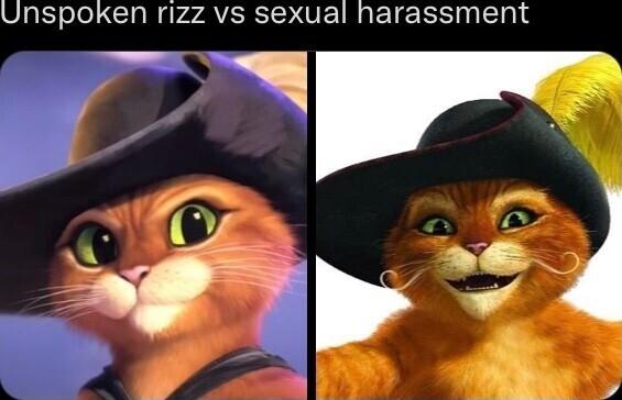 unspoken rizz vs sexual harassment