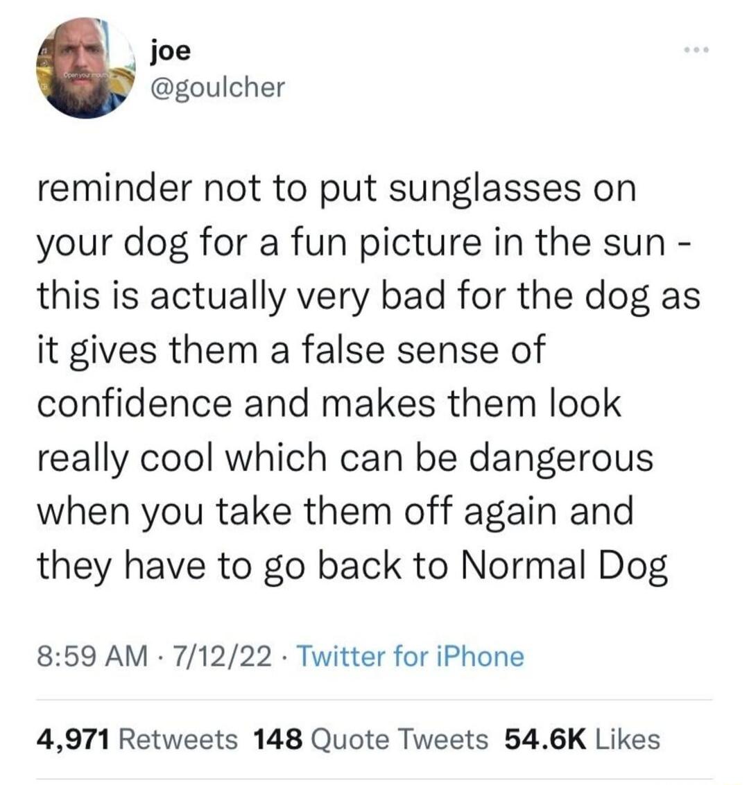 joe goulcher reminder not to put sunglasses on your dog for a fun picture in the sun this is actually very bad for the dog as it gives them a false sense of confidence and makes them look really cool which can be dangerous when you take them off again and they have to go back to Normal Dog 859 AM 71222 Twitter for iPhone 4971 Retweets 148 Quote Tweets 546K Likes