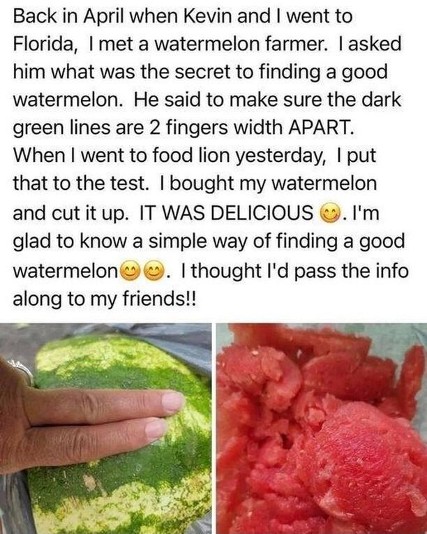 Back in April when Kevin and went to Florida met a watermelon farmer asked him what was the secret to finding a good watermelon He said to make sure the dark green lines are 2 fingers width APART When went to food lion yesterday put that to the test bought my watermelon and cut it up IT WAS DELICIOUS 3 Im glad to know a simple way of finding a good watermelon thought Id pass the info along to my f